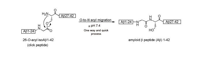 click_amyloid_peptide