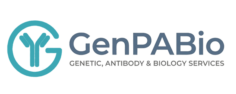 Peptide Synthesis Services: Custom Peptides for Research & Development